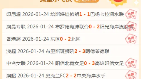 谁能在逆袭之路上展翅高飞？