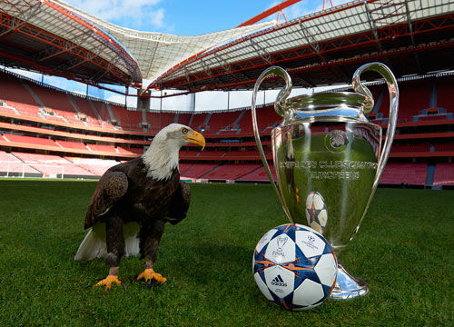 李炎哲试图 李炎哲试图